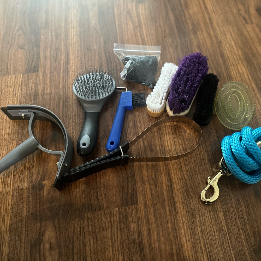 Horse brushes and more